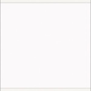 Meet your Posher, Alli